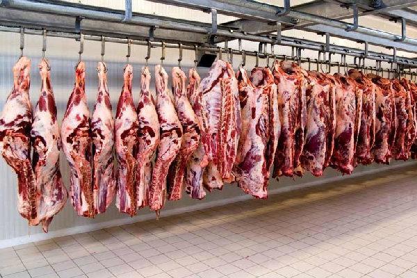 48 تن گوشت گرم گوسفند در چهارمحال و بختیاری توزیع شد