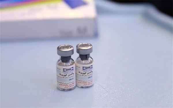 افزایش آنتی بادی در 91 درصد داوطلبان واکسن برکت