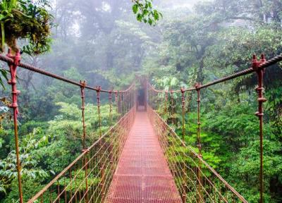 معرفی کوه Monteverde و جنگل های ابری کاستاریکا