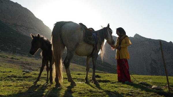 مستند رویای یک اسب در پنج جشنواره فیلم معتبر دنیا