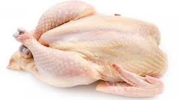 توزیع روزانه 20 تن مرغ منجمد در بازار کرمانشاه