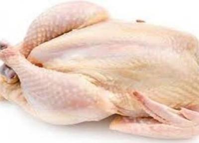 توزیع روزانه 20 تن مرغ منجمد در بازار کرمانشاه