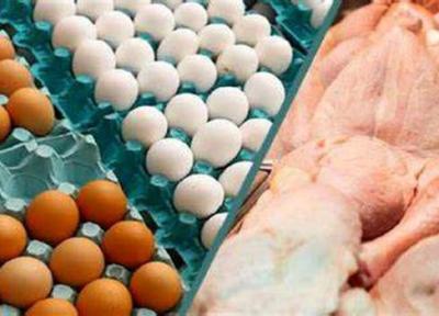 قیمت نو مرغ و تخم مرغ در بازار ، هر کیلو فیله مرغ و یک شانه تخم مرغ 20 عددی چند؟