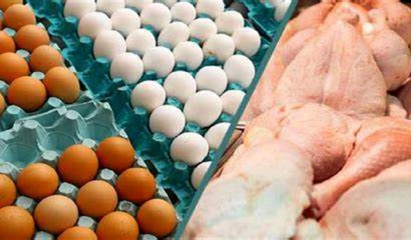 قیمت نو مرغ و تخم مرغ در بازار ، هر کیلو فیله مرغ و یک شانه تخم مرغ 20 عددی چند؟