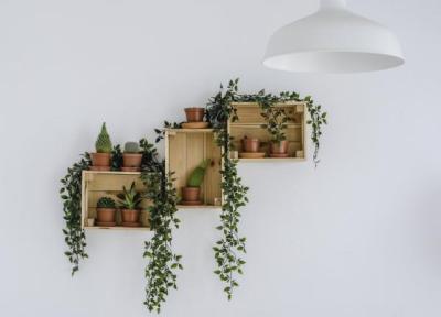 کجای خانه گل بگذاریم؟ ؛ چگونگی چیدمان گیاهان در اتاق نشیمن ، با این 10 ایده کنج سبزتان را بسازید