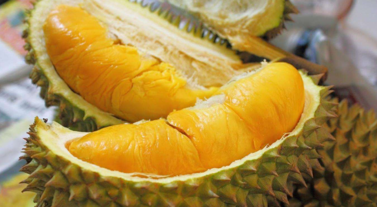 میوه خارگیل مالزی چرا به مالزی سفر کنیم ؟