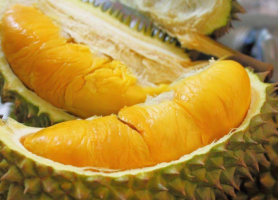 چرا به مالزی سفر کنیم ؟