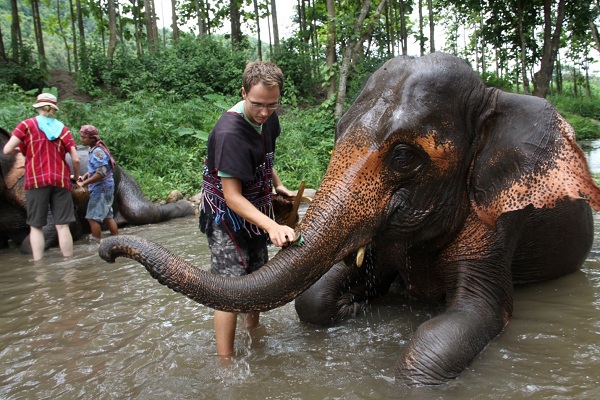 pattaya-elephant-village دهکده فیل های پاتایا